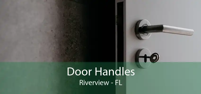 Door Handles Riverview - FL