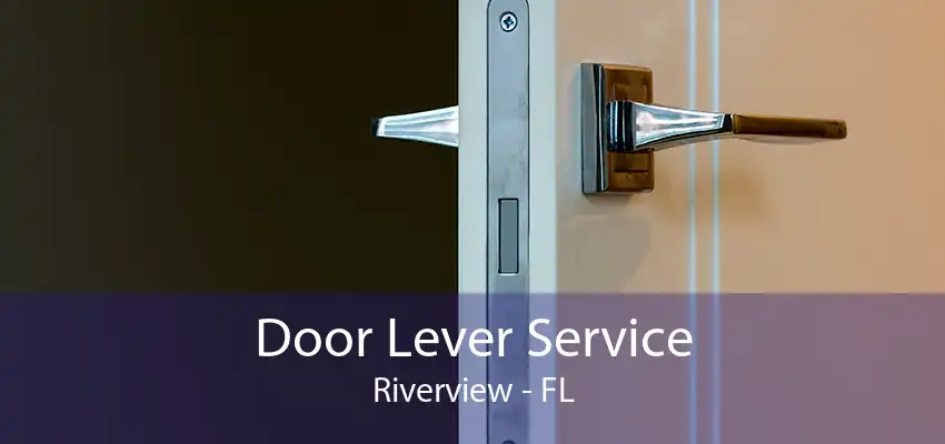 Door Lever Service Riverview - FL