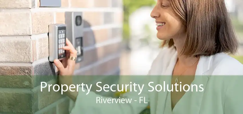 Property Security Solutions Riverview - FL